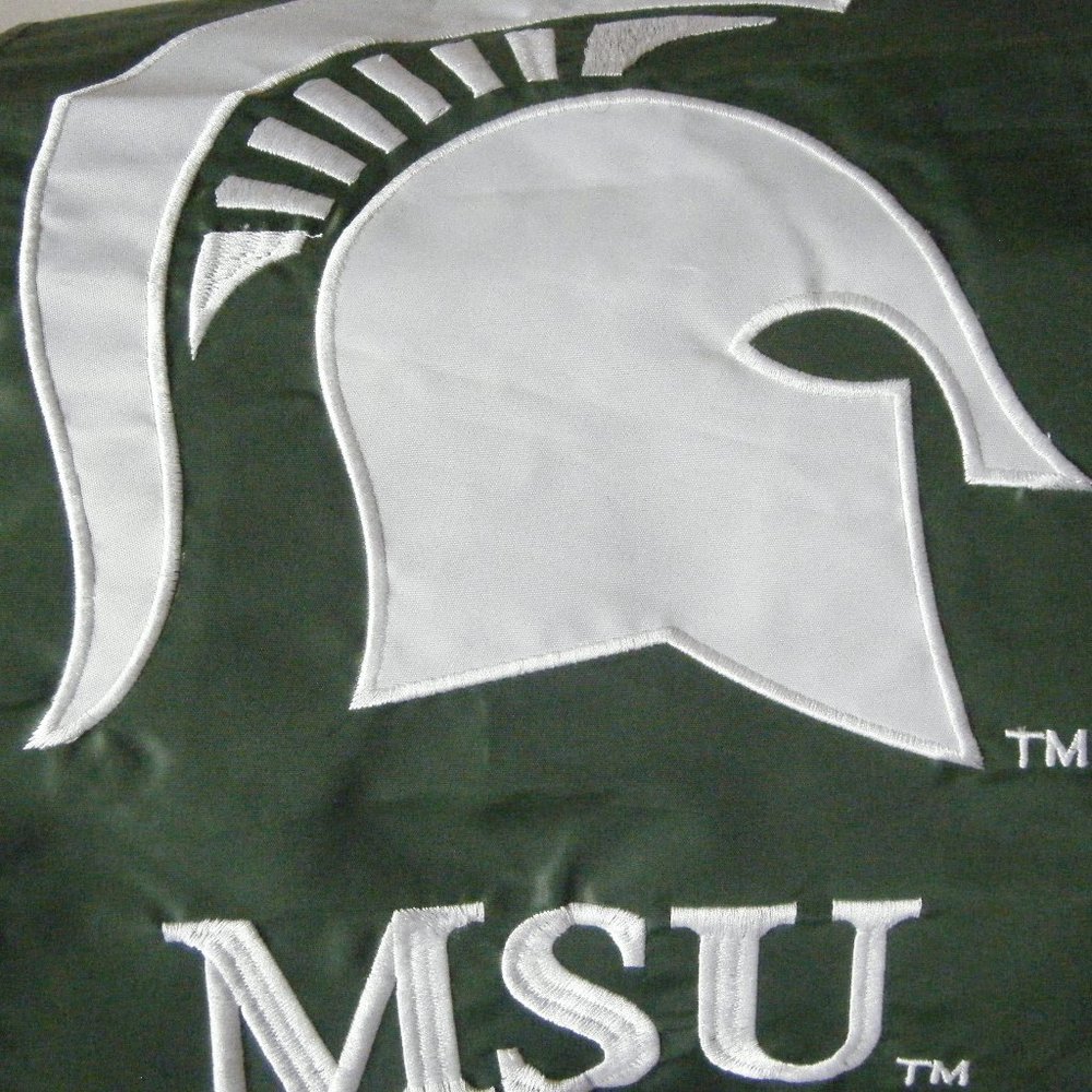 Michigan State University School Banner